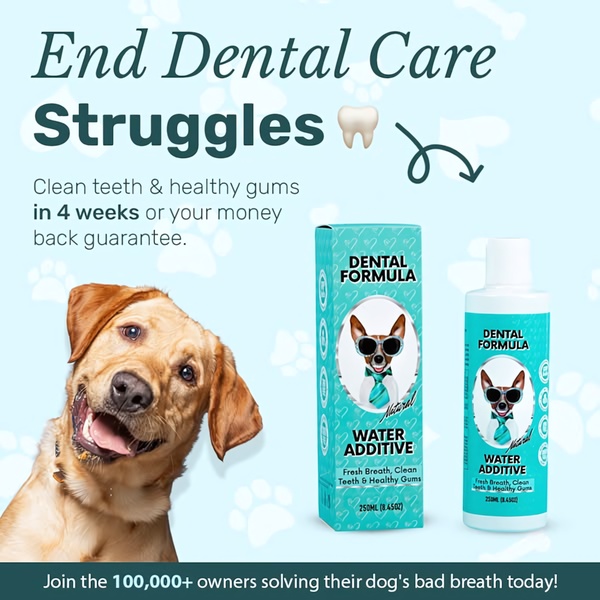 A square ad creative featuring a dental water additive product alongside a happy dog, highlighting a 4-week promise and social proof.